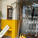 沖縄市にあるマサラダドーナッツFluffy Coconut